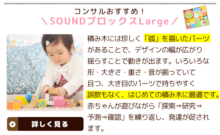 SOUNDブロックスLarge