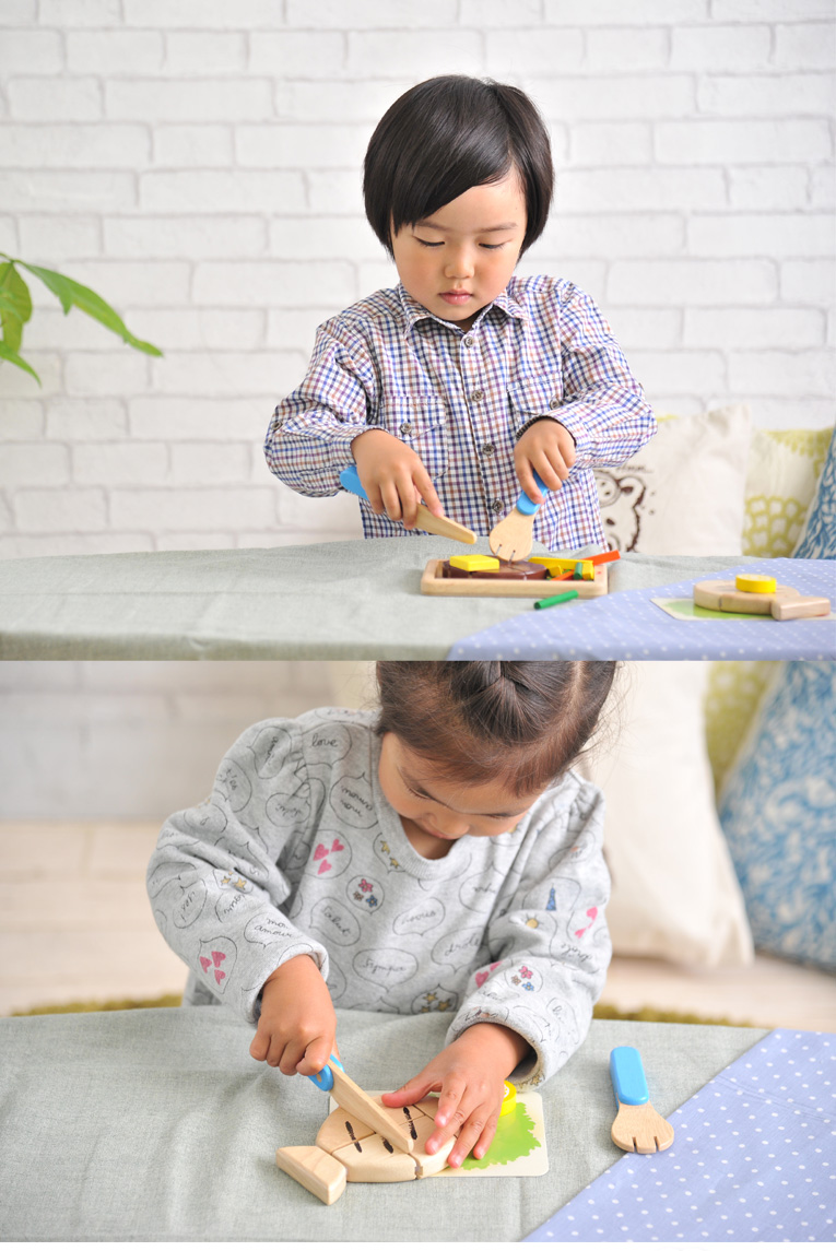 おままごとのメインディッシュ お肉 お魚 おままごと 食材 調理器具