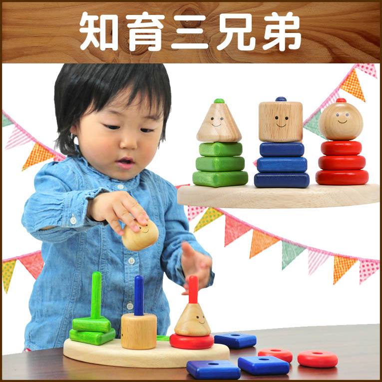 ジオトリオ 知育玩具 数を数える