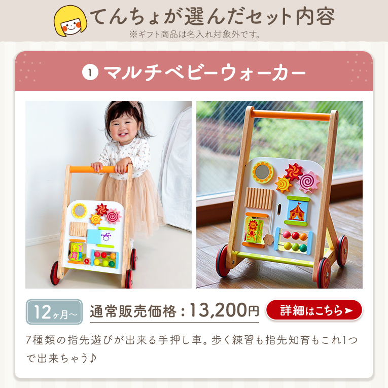 20周年記念 福袋G たっち期 手押し車で冒険セット