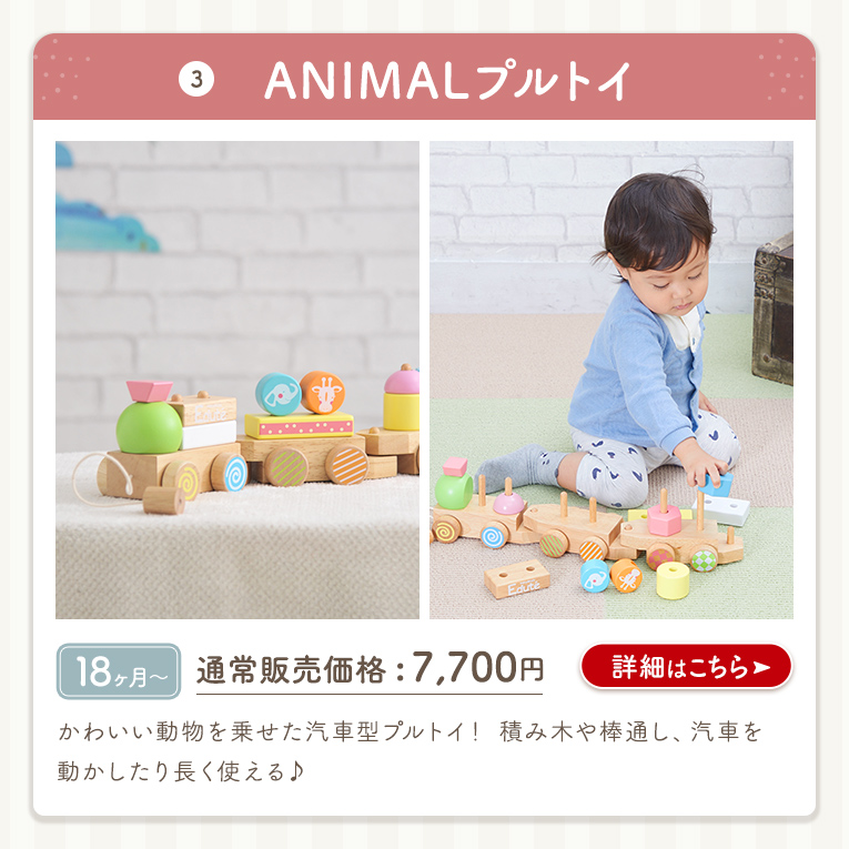 20周年記念 福袋G たっち期 手押し車で冒険セット