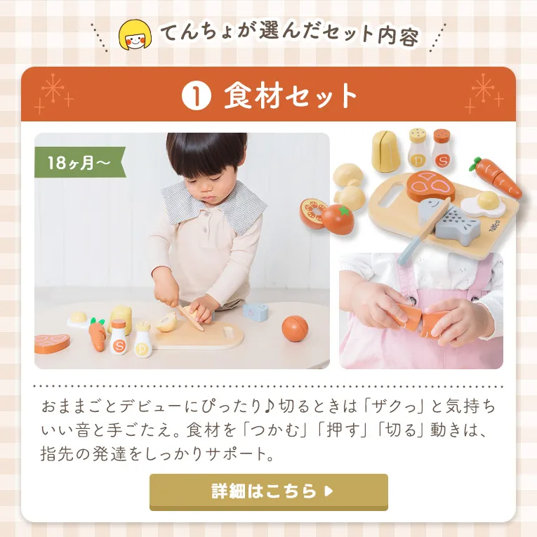 おままごとセット【フォルダブルクッカー＆おままごと食材セット】