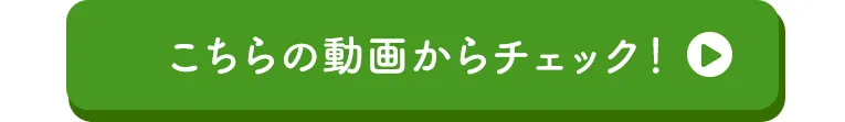 生後６ヶ月頃は動くものを目で追います(追視)