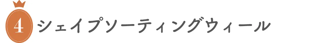 【レーベルレーベル】シェイプソーティングウィール