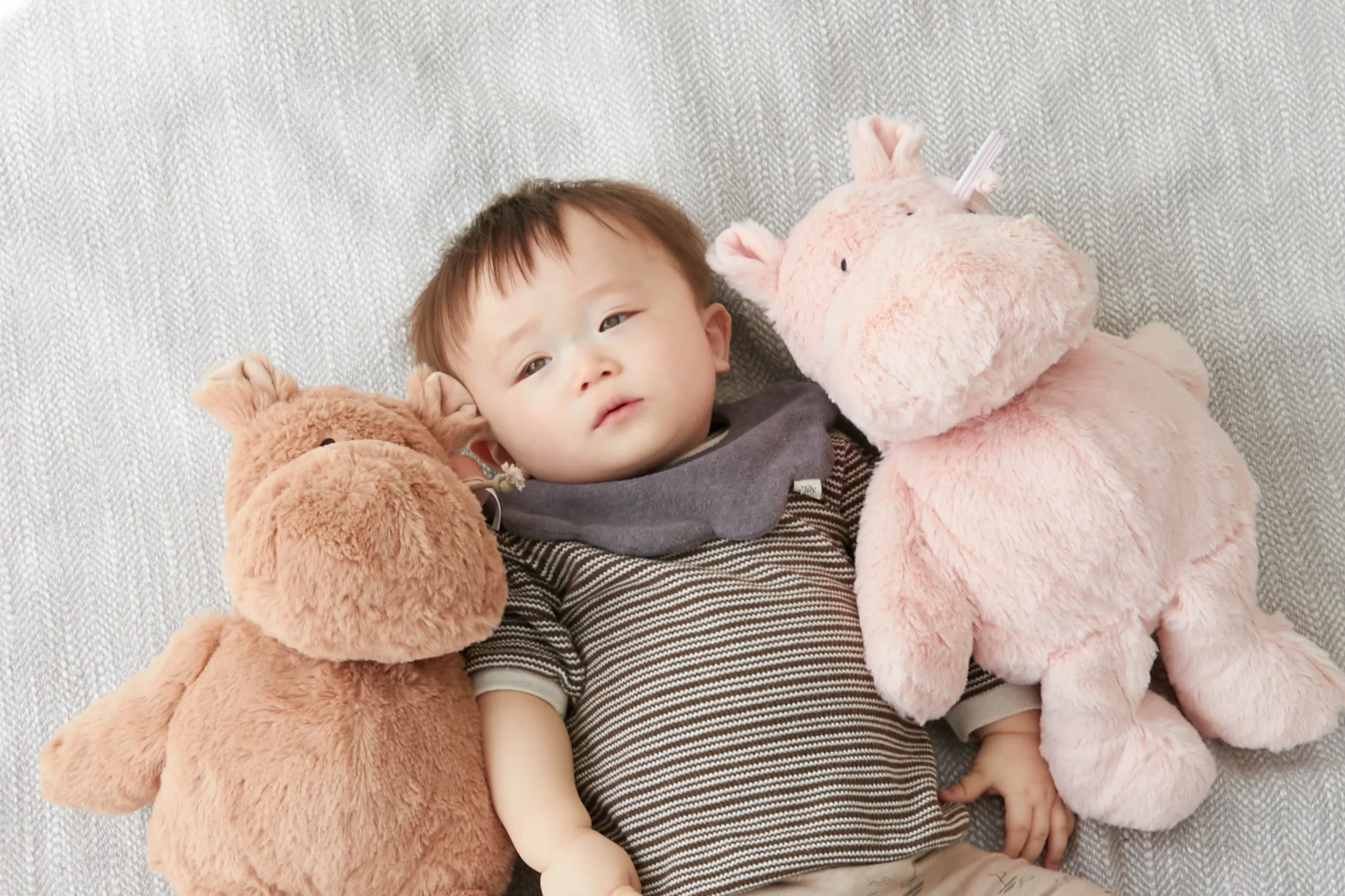 TREEスロープ ＜1歳 18ヶ月 2歳 ＞ Edute(エデュテ）