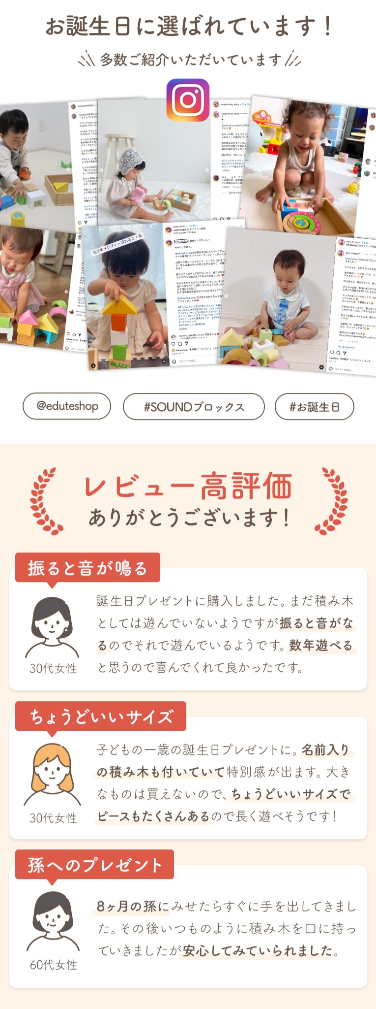 【SOUNDブロックス】10ヶ月～　積み木　名入れ　音の鳴る　出産祝い　1歳誕生日 エデュテ
