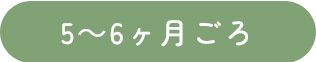 5～6ヶ月ごろ