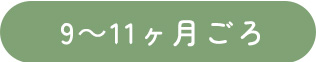 9～11ヶ月ごろ
