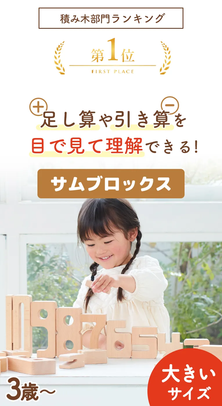 数字の概念が目で見て学べる積み木