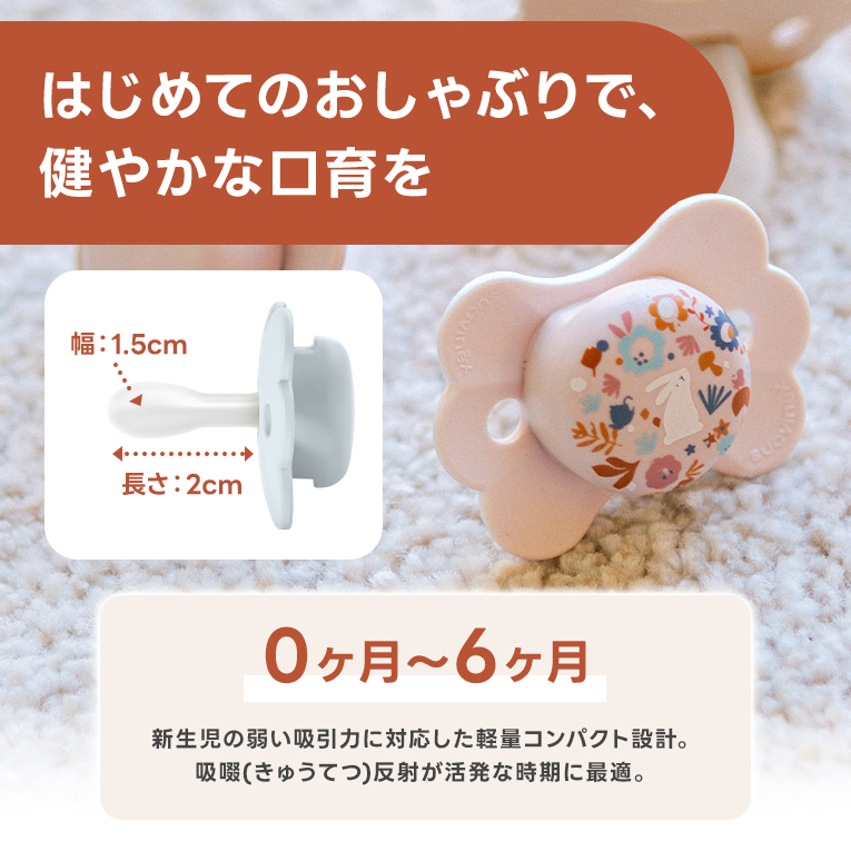 ワンダーランドギフトセット