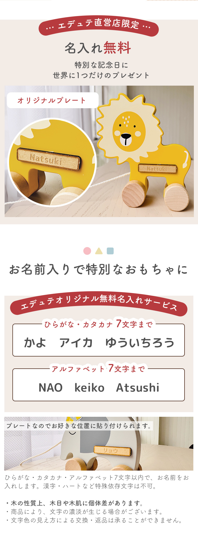 日本総代理店