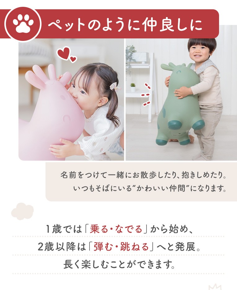 知育バランストイスキッピ―