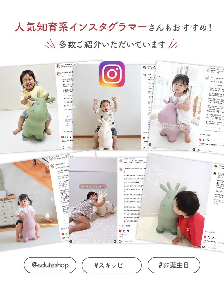 知育バランストイスキッピ―