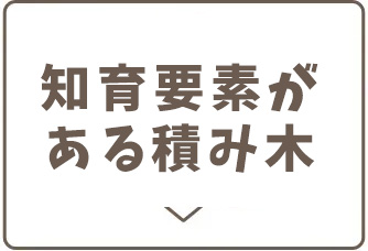 知育要素がある積み木