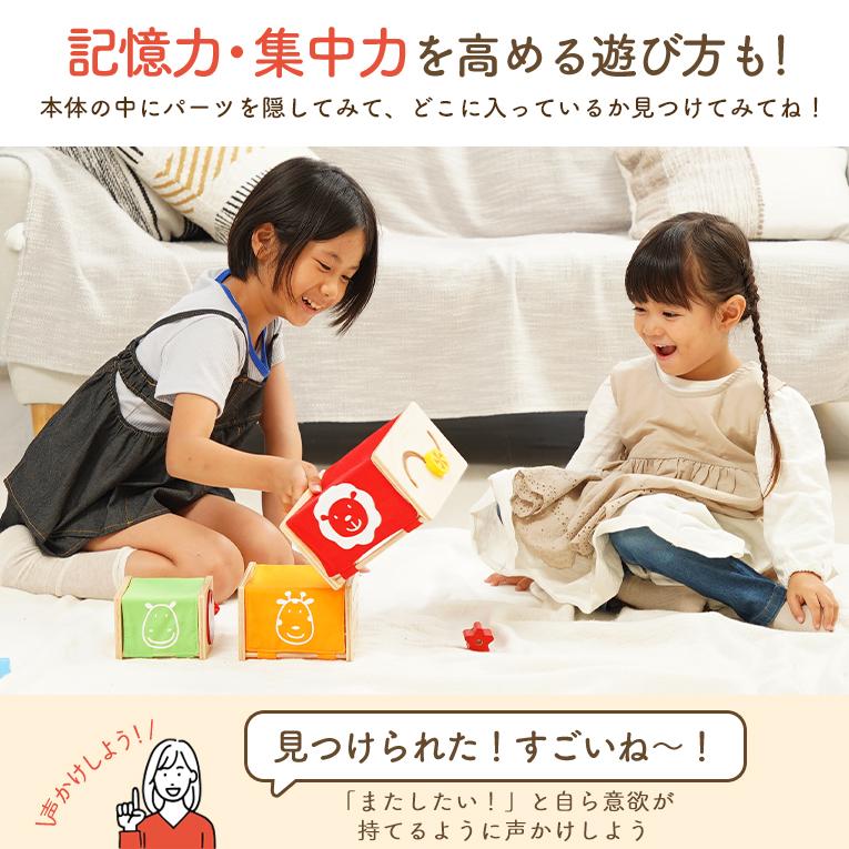 指先知育の木のおもちゃならトレーニングキューブ｜2歳プレゼント