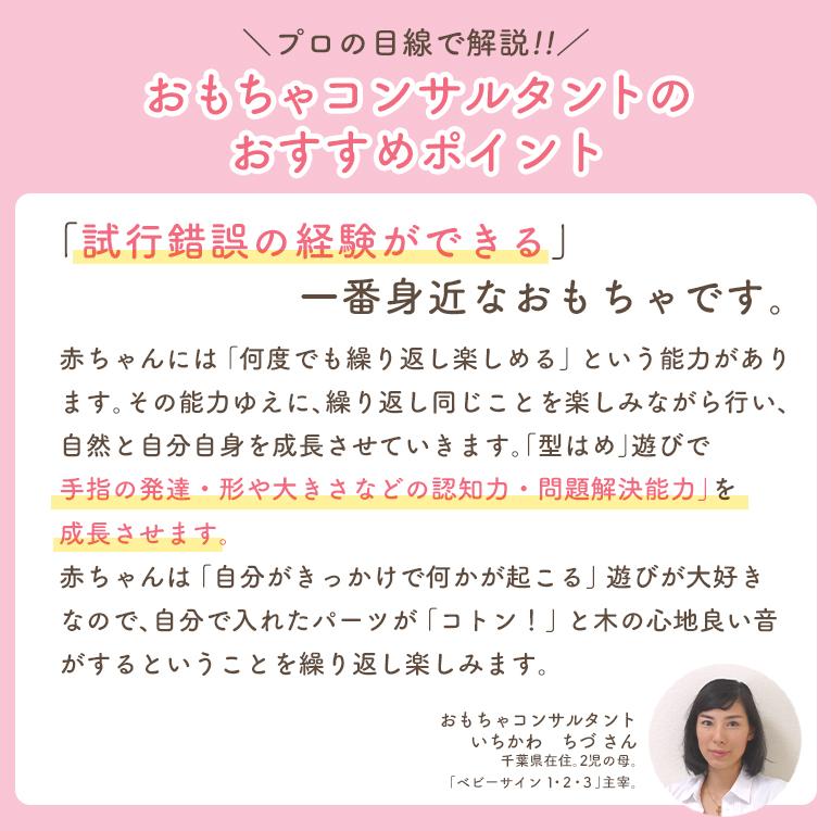 【名入れ無料】KOROKOROパズル (コロコロパズル)＜ 0歳 6ヶ月 1歳 ＞ Edute(エデュテ）