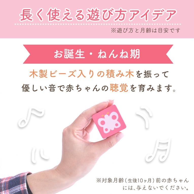 【名入れ無料】KOROKOROパズル (コロコロパズル)＜ 0歳 6ヶ月 1歳 ＞ Edute(エデュテ）