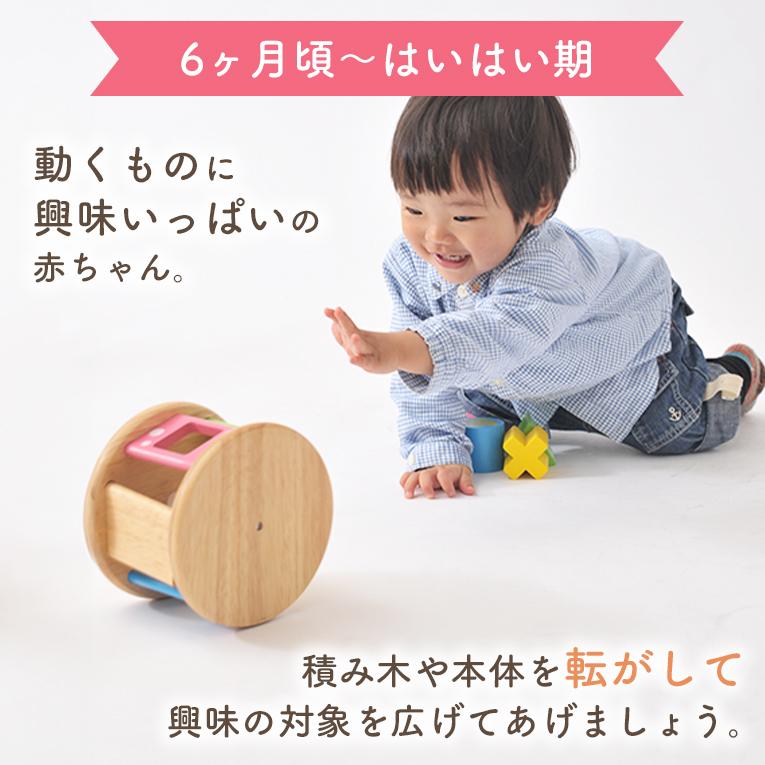 【名入れ無料】KOROKOROパズル (コロコロパズル)＜ 0歳 6ヶ月 1歳 ＞ Edute(エデュテ）