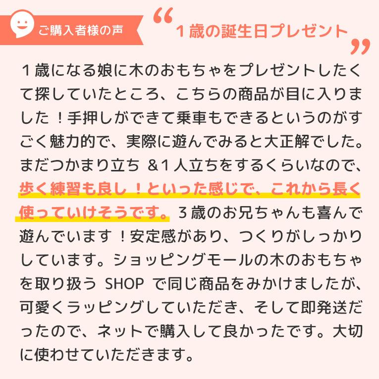 【名入れ無料】ウォーカー＆ライドアーミートラック<1歳>I'mToy（アイムトイ）