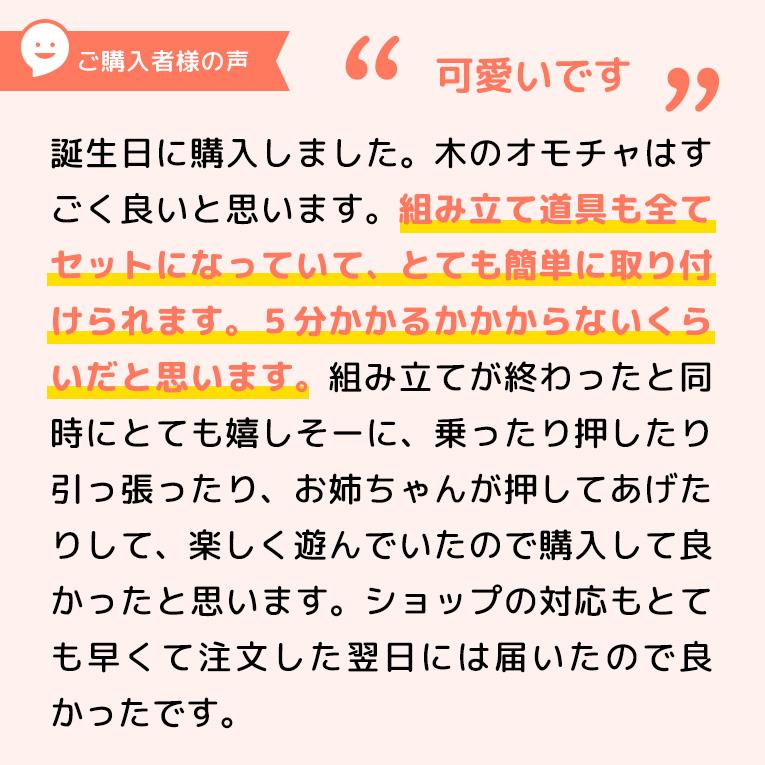 【名入れ無料】ウォーカー＆ライドアーミートラック<1歳>I'mToy（アイムトイ）