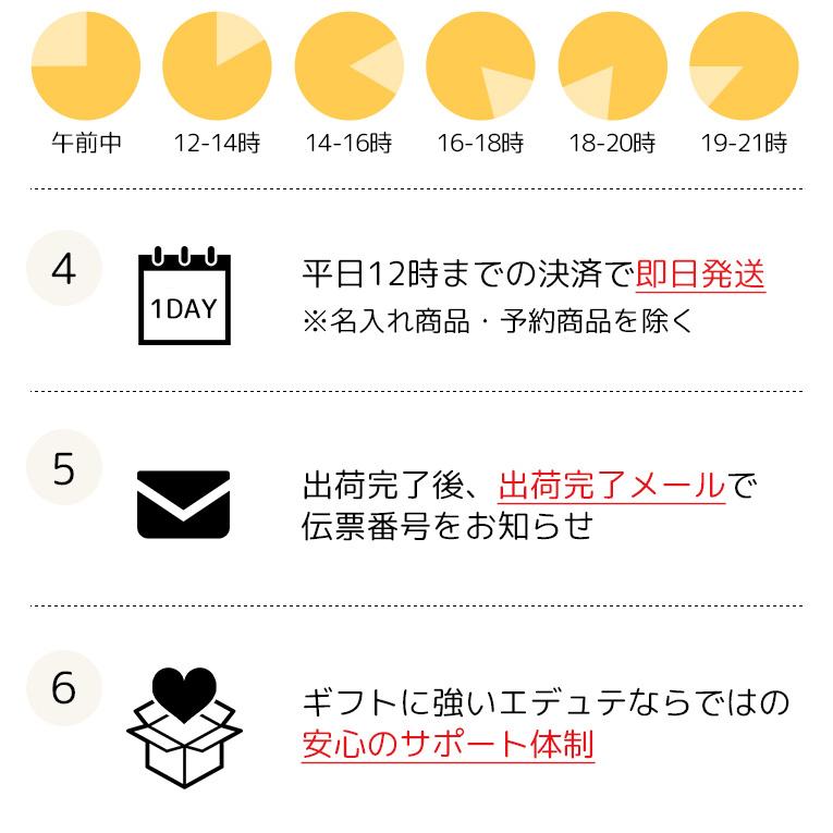 ブルーダー CAT ショベル＜3歳＞Bruder ブルーダー