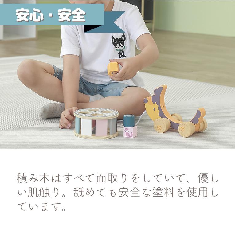 ソーティングプルトイ・はりねずみ＜24ヶ月 2歳＞PolarB（ポーラービー）