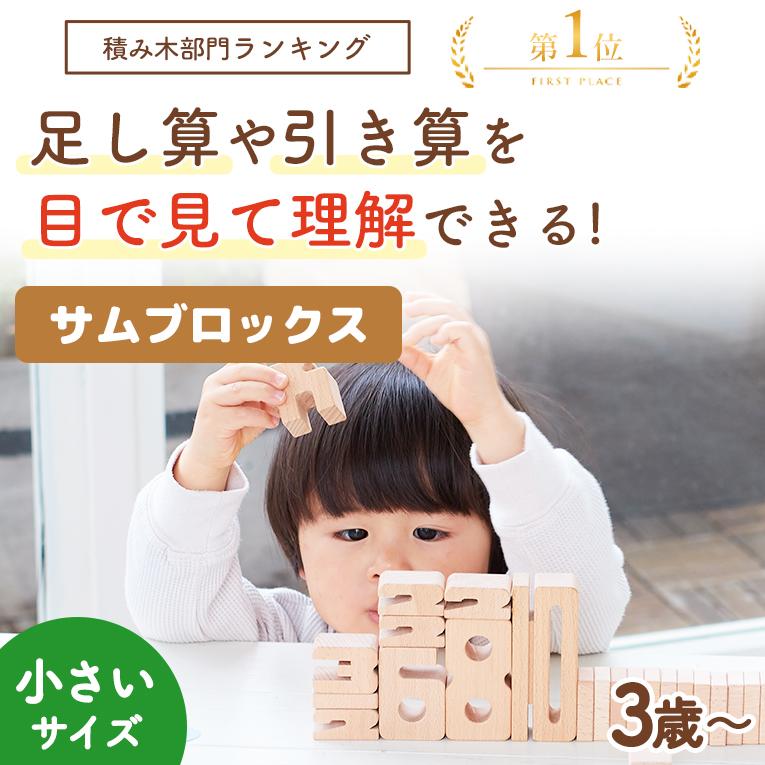 ミニスターターセット
