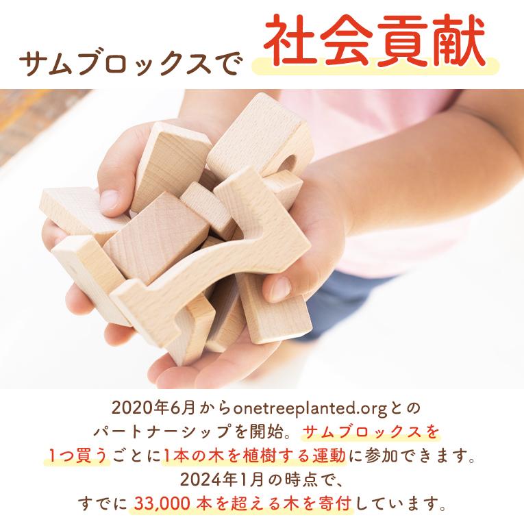 知育玩具積み木「Sumblox（サムブロックス）ミニスターターセット」｜3