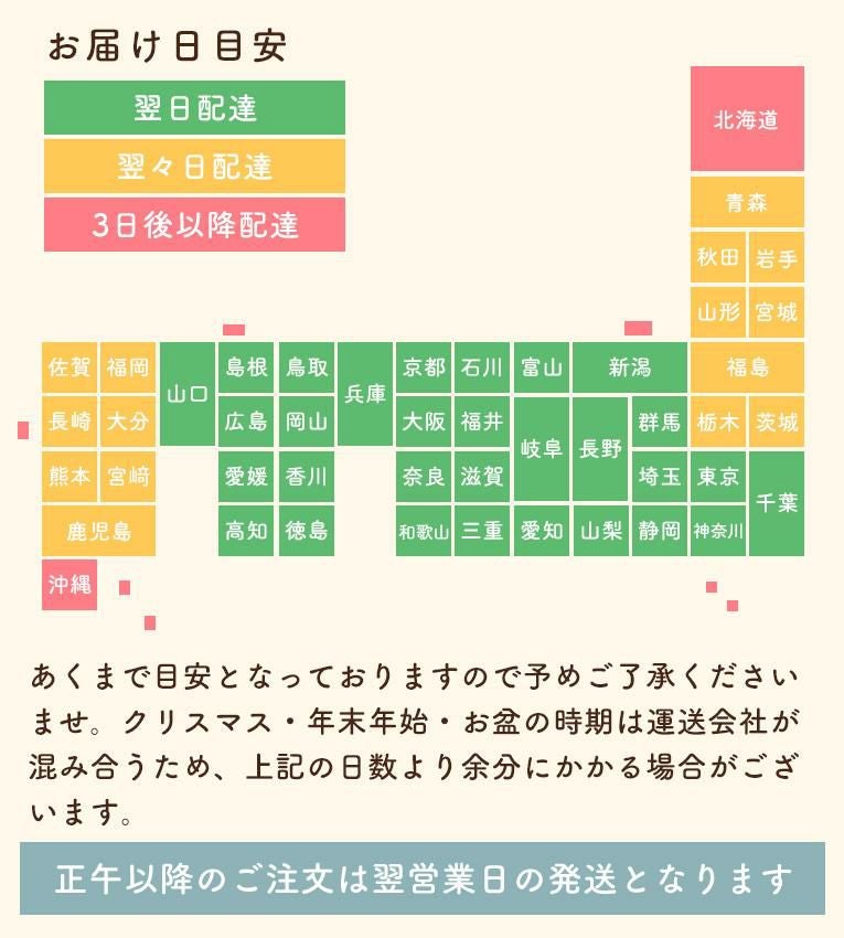 抱っこ紐10日間お試しレンタル往復送料無料＜6ヶ月 1歳＞Merry Tune（メリーチューン）