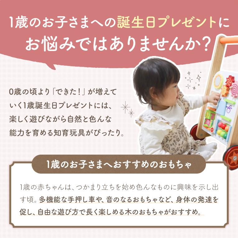 20周年記念 福袋G たっち期 手押し車で冒険セット