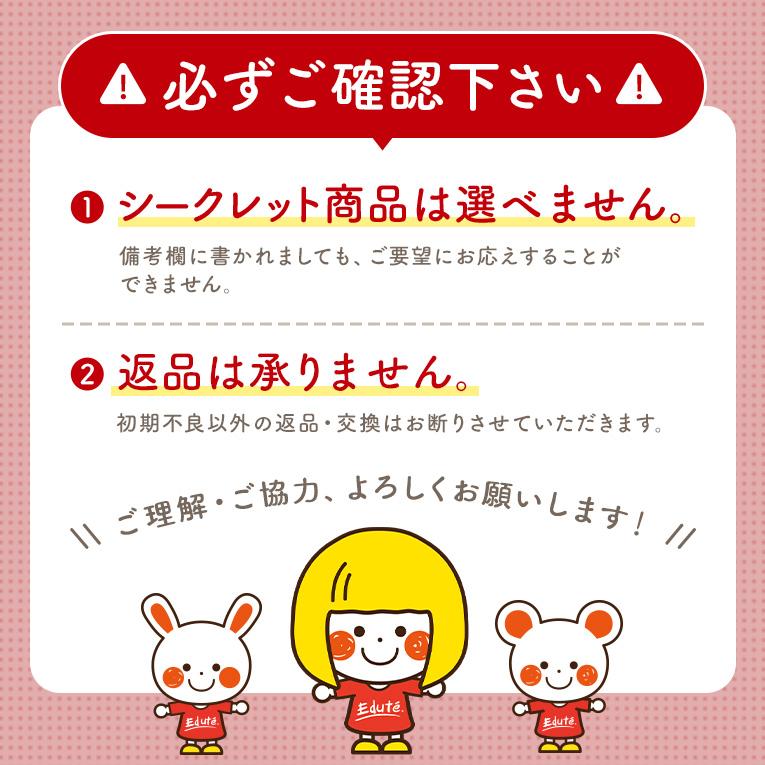 新生児からのお楽しみ袋～抱っこ紐+シークレットアイテム