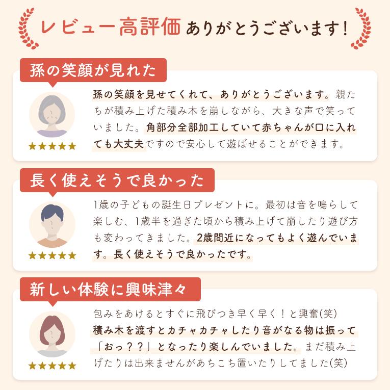 累計販売数33000個突破の赤ちゃんにぴったりの音の鳴る積み木