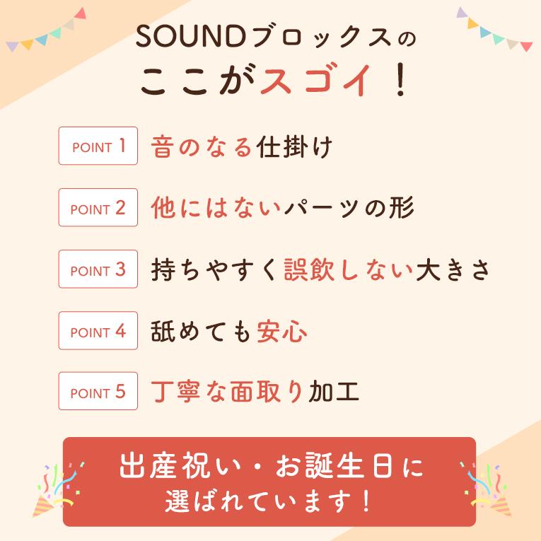 【名入れパーツもう一つプレゼント】 SOUNDブロックスLarge （シャーベット） ＜ 10ヶ月 1歳 2歳＞ Edute(エデュテ）