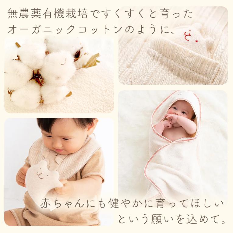 オーガニックコットン6点セット ソックス+ミニスタイ+ボール+ミニ